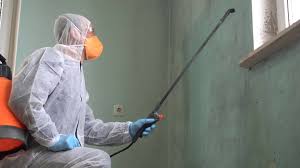 Best Black Mold Removal  in Geneseo, IL