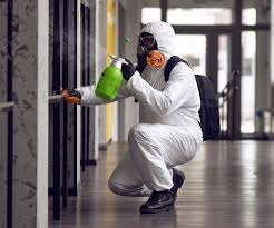 Best Mold Remediation for Healthcare Facilities  in Geneseo, IL